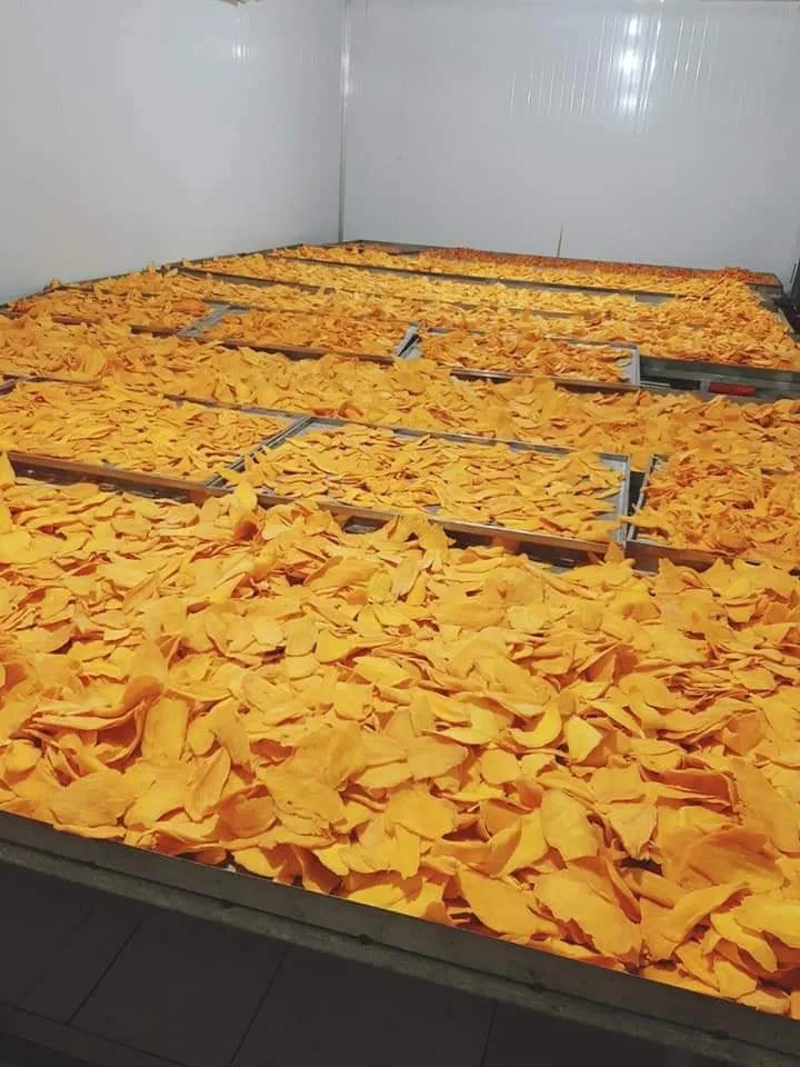 Soft Dried Mango No Additives No Preservative Packing Half Slices  mango Cheap price In Viet Nam HOANG LINH SG Kimy +84938616690