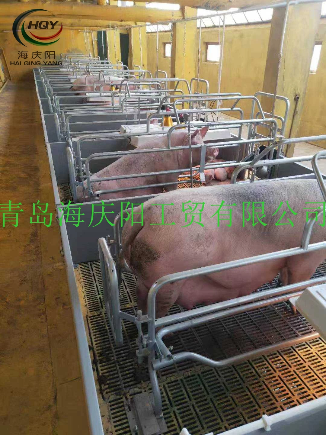 Новый продукт бывший в употреблении ящик из ПВХ alibaba оборудование для свиноводческой фермы свиней