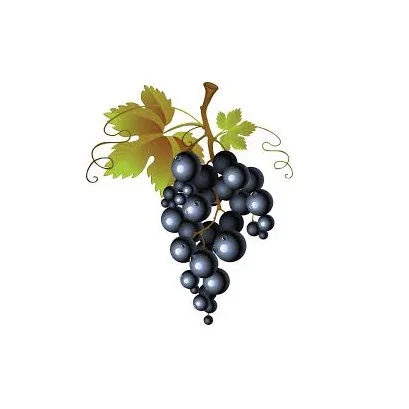 Лидер продаж, черный виноград премиум-класса С ХОРОШИМ содержанием сладкого вкуса, доступен по оптовой цене от индийского экспортера