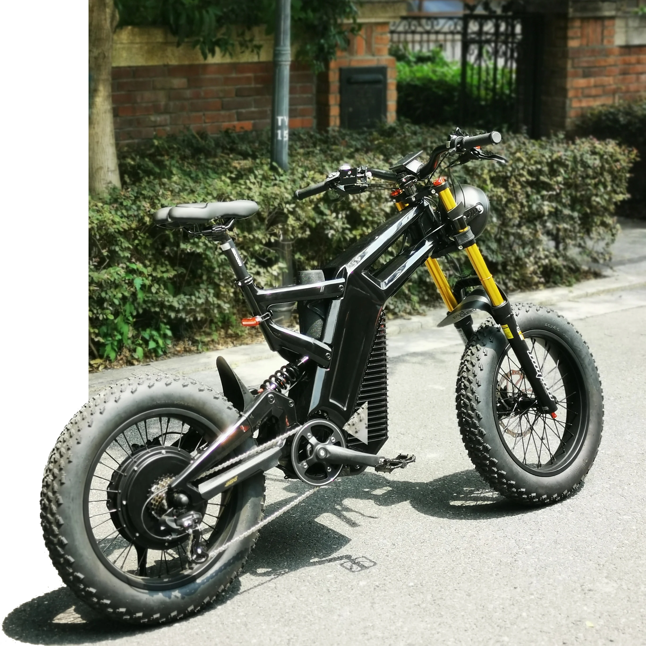 Unleash the Power of the Retro 3000W Ebike - Conquer the City and Mountains with this 2000W Electric Bicycle