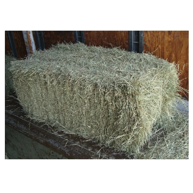 Quality Alfalfa Hay/timothy Alfafa Hay/ Cheap Alfafa Hay For Animal Feeding Stuff Premium Green Alfalfa Hay