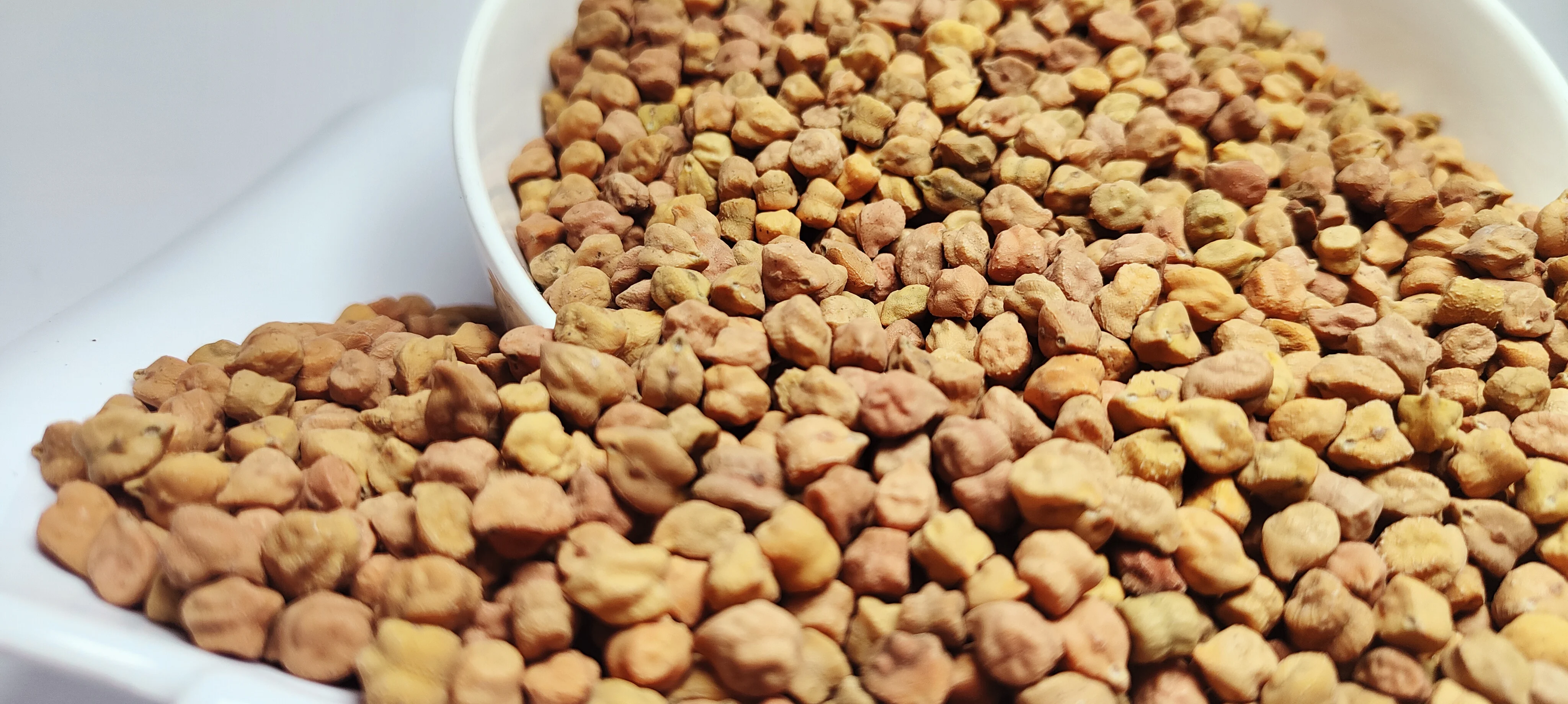 Dried Desi Chickpeas Best Quality Ethiopian Origin New Harvest 2024 Large Volume - Prompt Shipment Export Quality Supplier