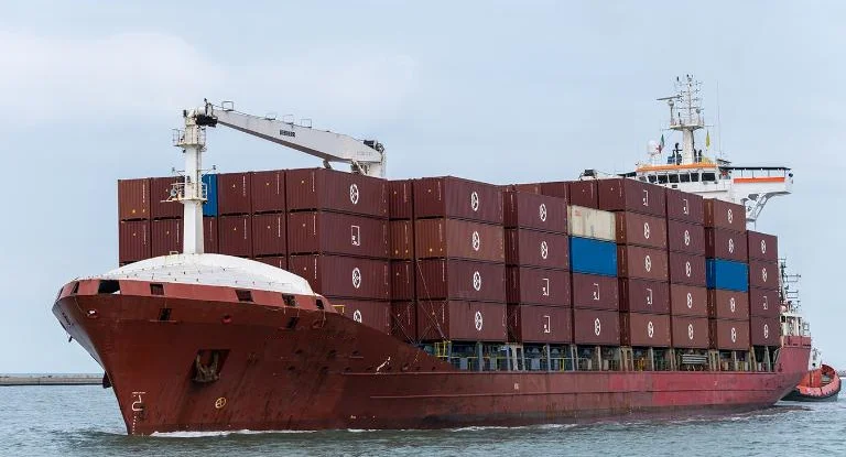 1653379552SONGA CHEETAH.png