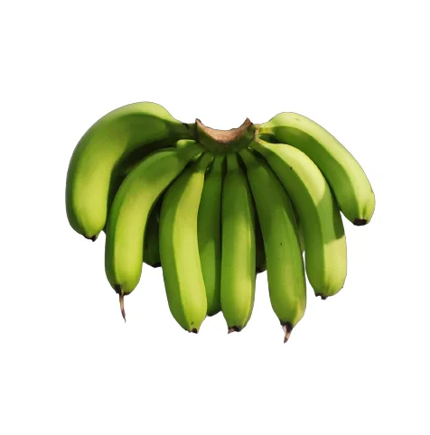 Hot Ranking Sale Supplier Wholesale B789 Cavendish Banana Vietnam Fresh Banana OEM ODM Organic Grade Cheap Price Low MOQ