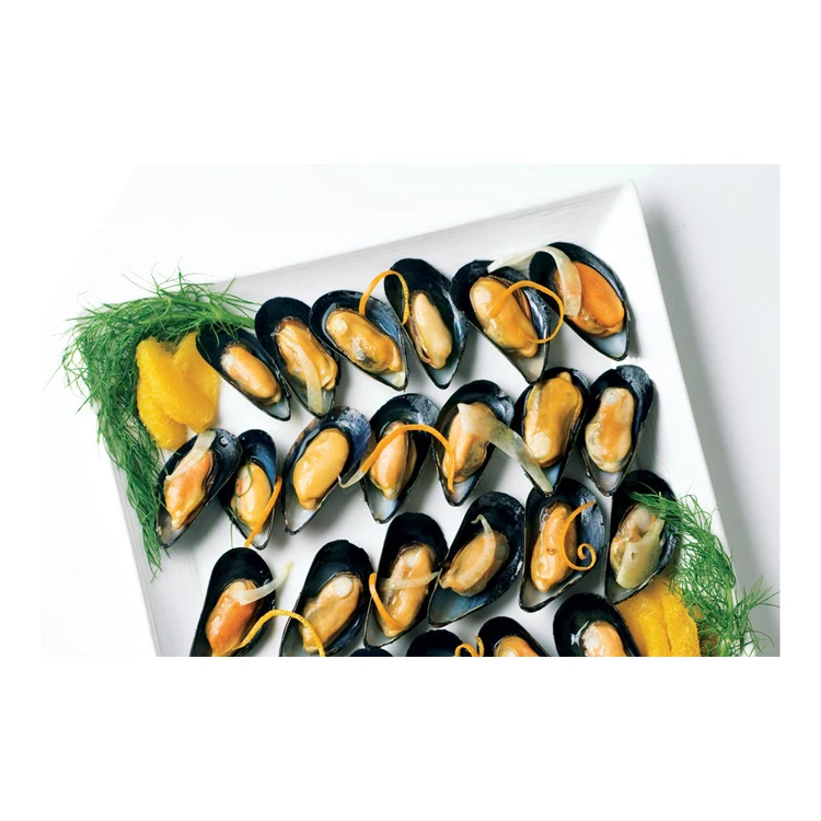 Top Quality Frozen Shellfish Mussels Blue Mussels Meat Half Shell Top Quality Frozen Shellfish Mussels for sales