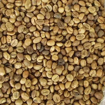 COFFEE 15.jpg
