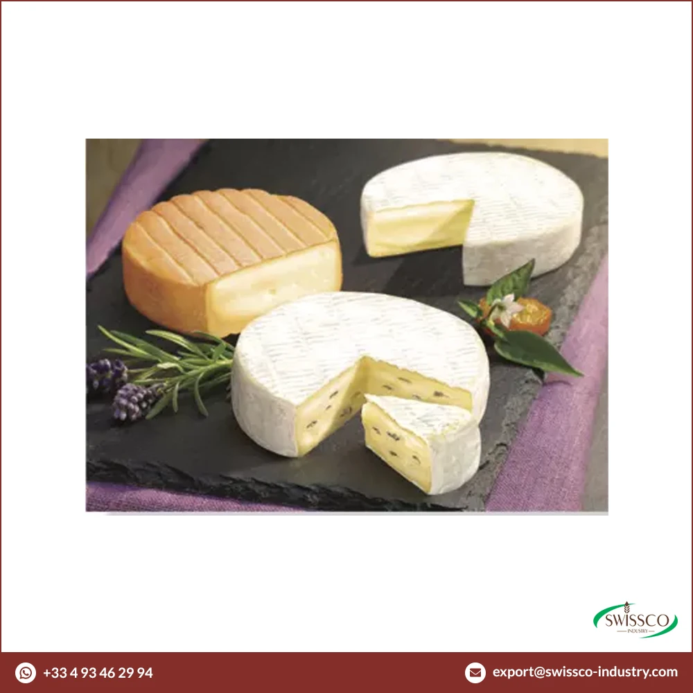 Best Quality Cambozola Simply Gourmet Soft Ripened Blue Cheese Available for Export