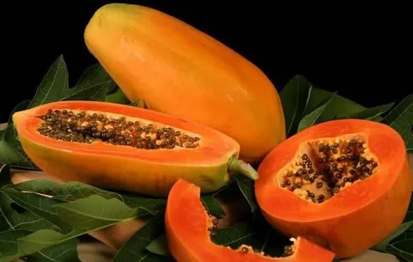 Оптовая продажа свежая Папайя с зеленой и красной папайей