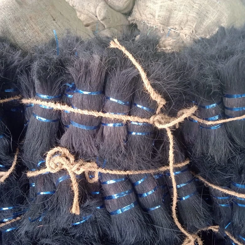 2022 hot product - Black Coir Bristle Fibre ( contact to +91-9895764873 )