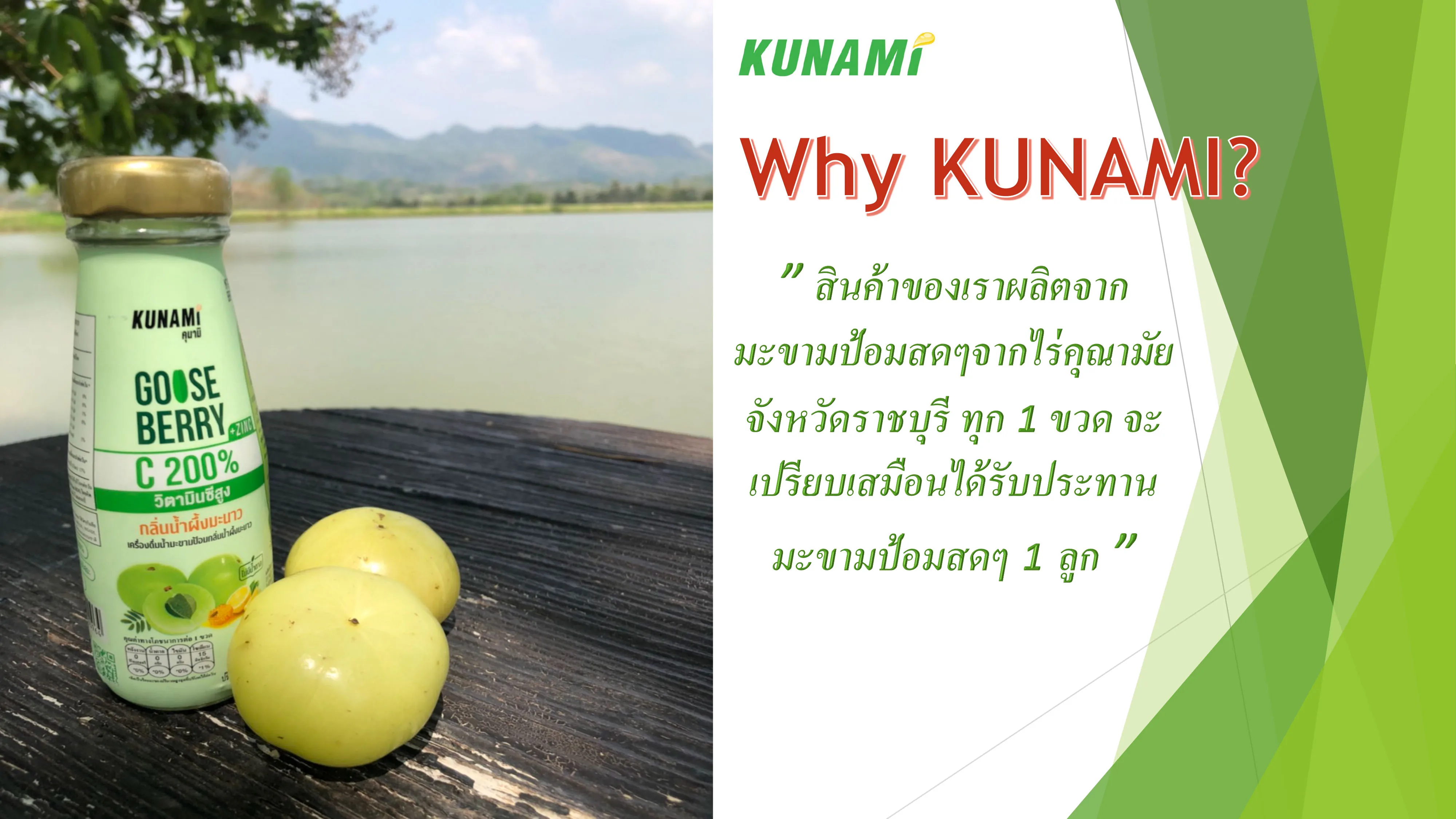 Goose Berry Soft Drinks Fruit honey lemon Flavor high  vitamin C 200%