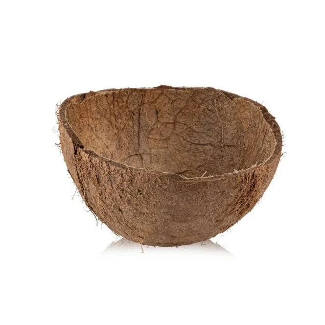 Premium Quality of Indian standard RAW COCONUT SHELL handicraft applies and other applications available at competitive prices.