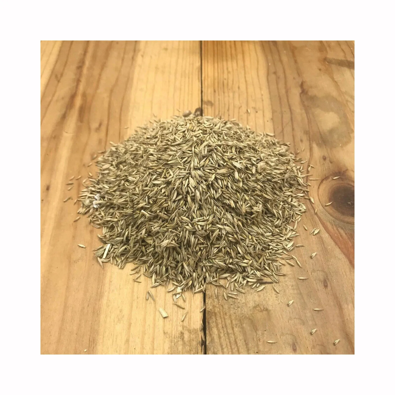 Wholesale High Quality Lawns Herbs in Bulk Fescue  Seeds for Sale From Perennial and Annual Herbs Supplier