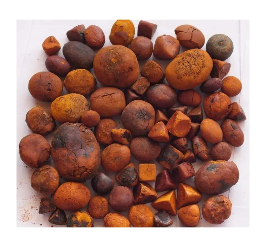 Ox Gallstones 80/20 Cow/Ox Cattle Gallstones Extract Venom Tallow Bile Beef Fish Protein in Powder Form