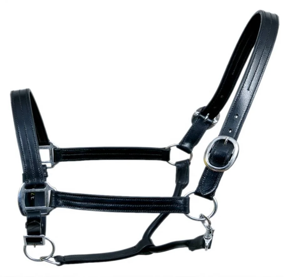 Best Quality Wholesale Price Custom Horse Leather Halter For Outdoor Sports Available For Wholesaling