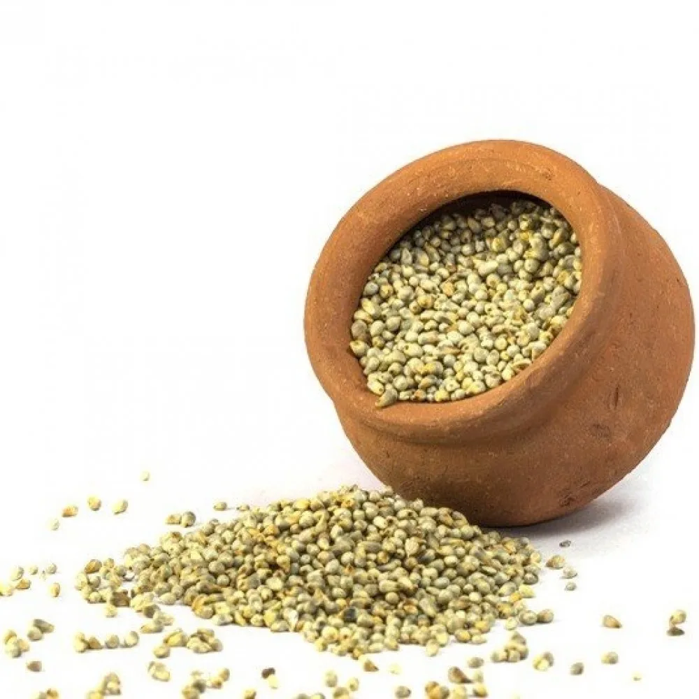 Premium grade Indian Green Millet animal feeds exporter From India