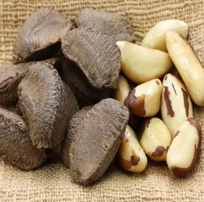 Quality Brazil Nuts Wholesale Brazil nuts snacks brazil  nuts 100% Pure Natural