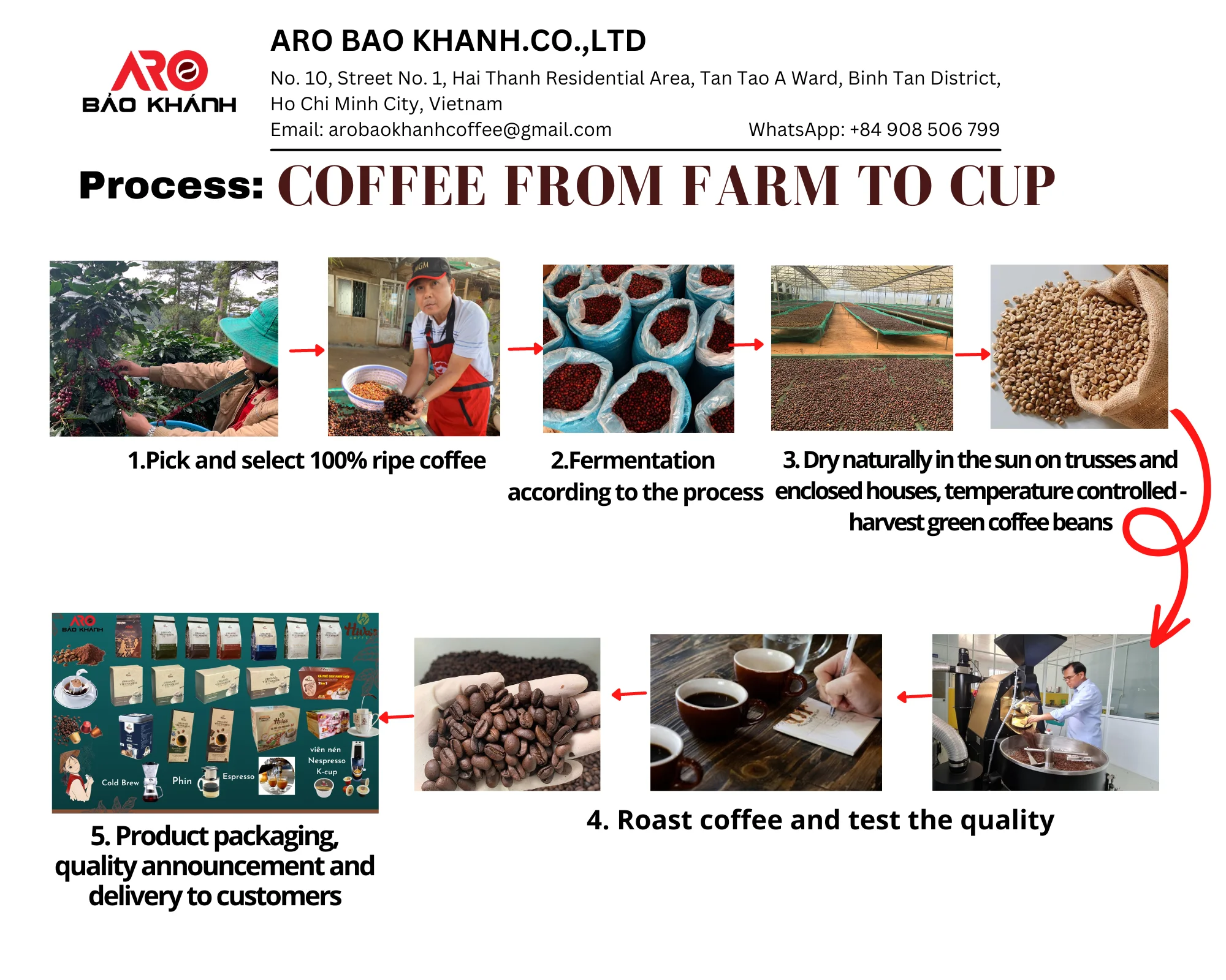 Factory price Hot sale Top selling Viet Nam ROBUSTA honey Roasted Coffee Bean Strong coffee Rich aroma molasses chocolate Export