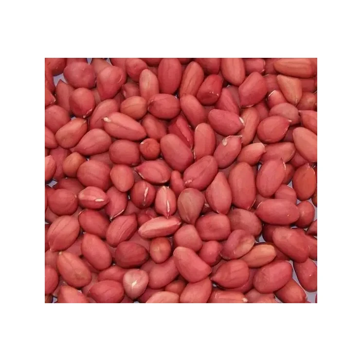 Good quality peanuts 100% Natural peanut Peanut without shell