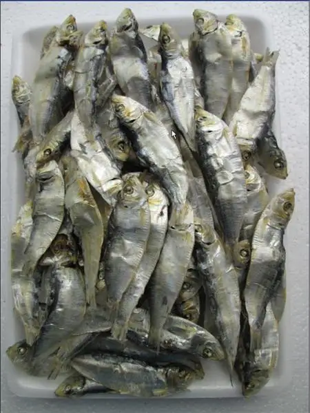 The best seller 100% Natural Dried Herring - Top quality Vietnam Seafood with the best price