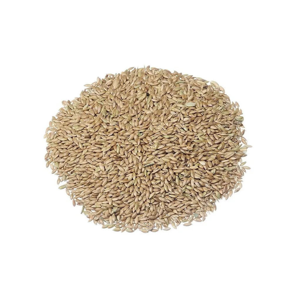Canary Seed Canary-Seed-For-Human-Consumption For Bird Feed For Exporting