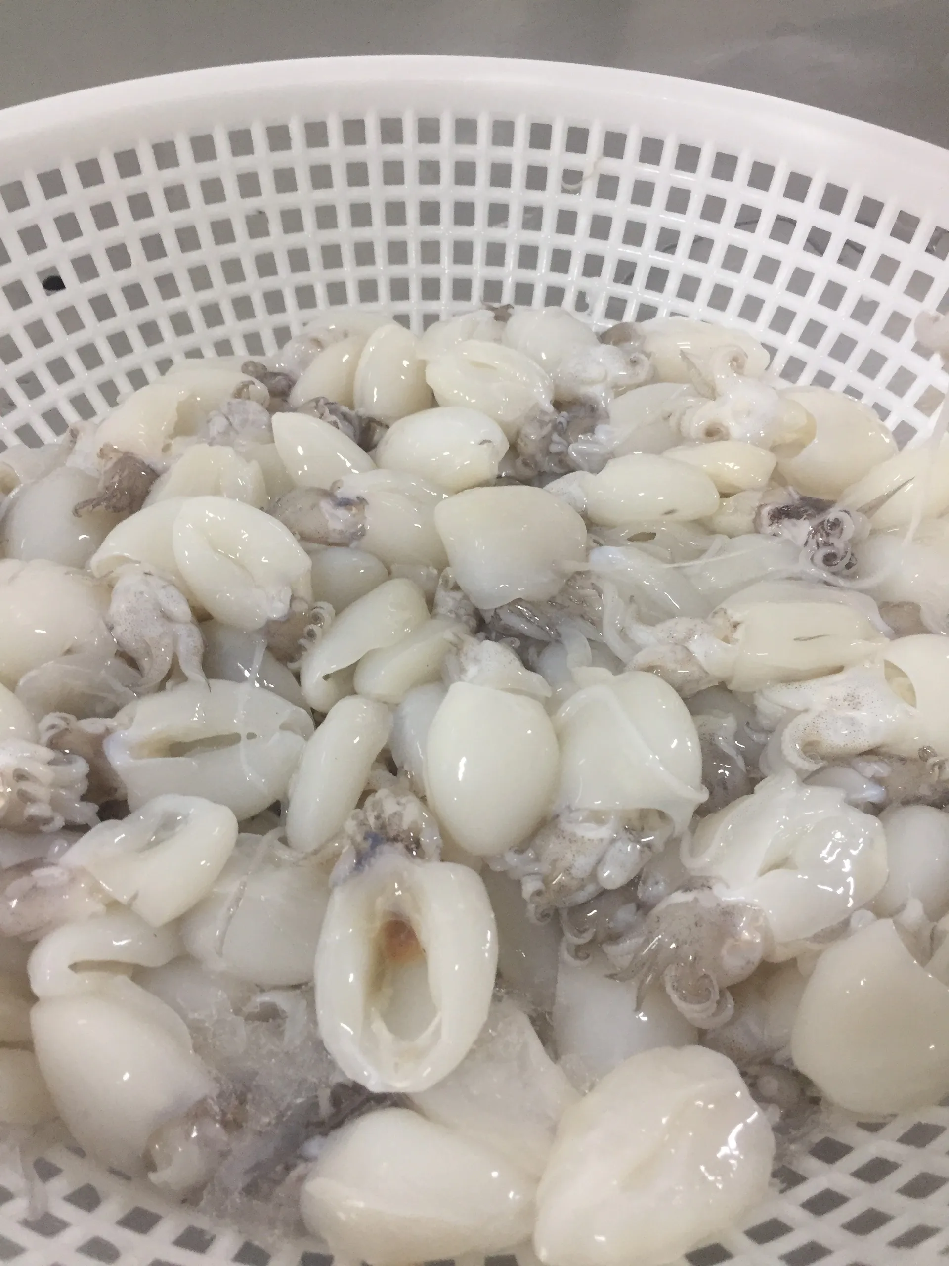 Вакуумная упаковка для замороженных морепродуктов самые продаваемые продукты IQF питательные приготовление каракатиц +