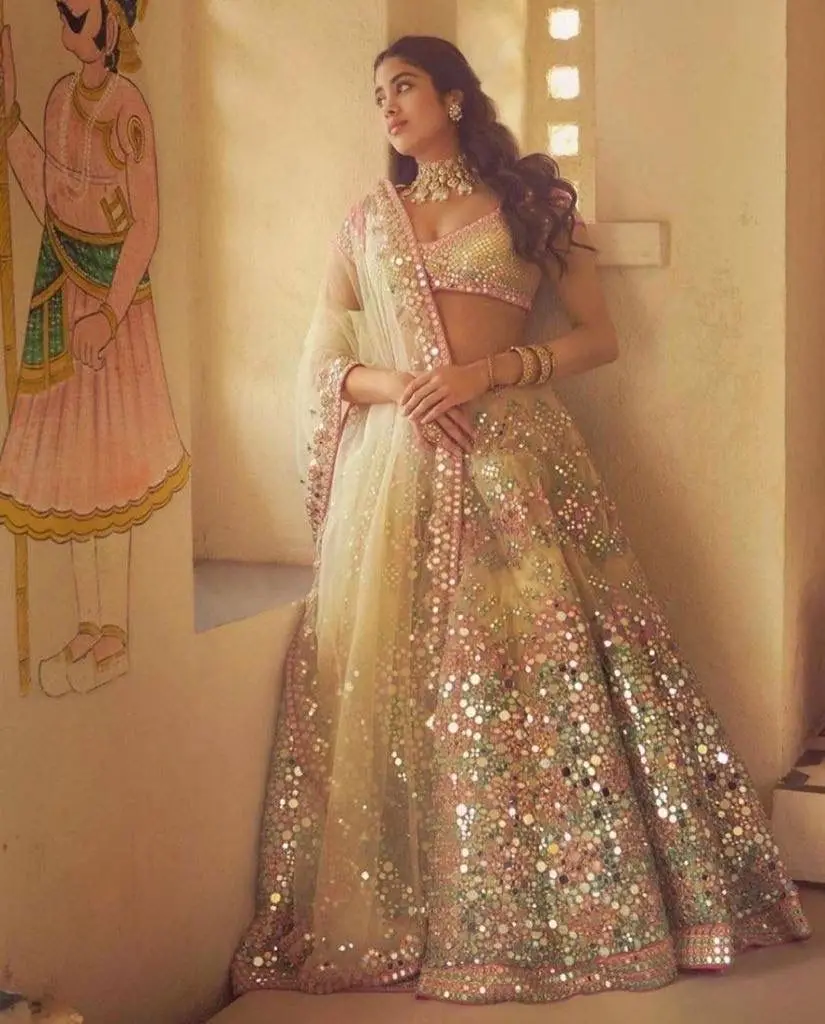 Fashionable Adults Soft Net Real Mirror Lehenga Cancan Canvas Patta Work Choli Indian & Pakistani Clothing Sequins Embroidery
