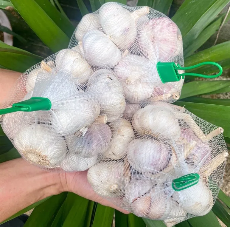 White garlic dried garlic from viet nam, 100% tax free