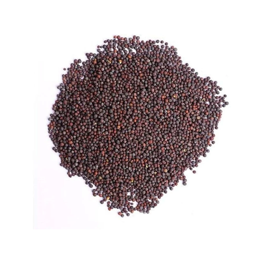High Quality Spices & Herbs Natural Black Mustard Seeds Whole Spices Available At Affordable Price