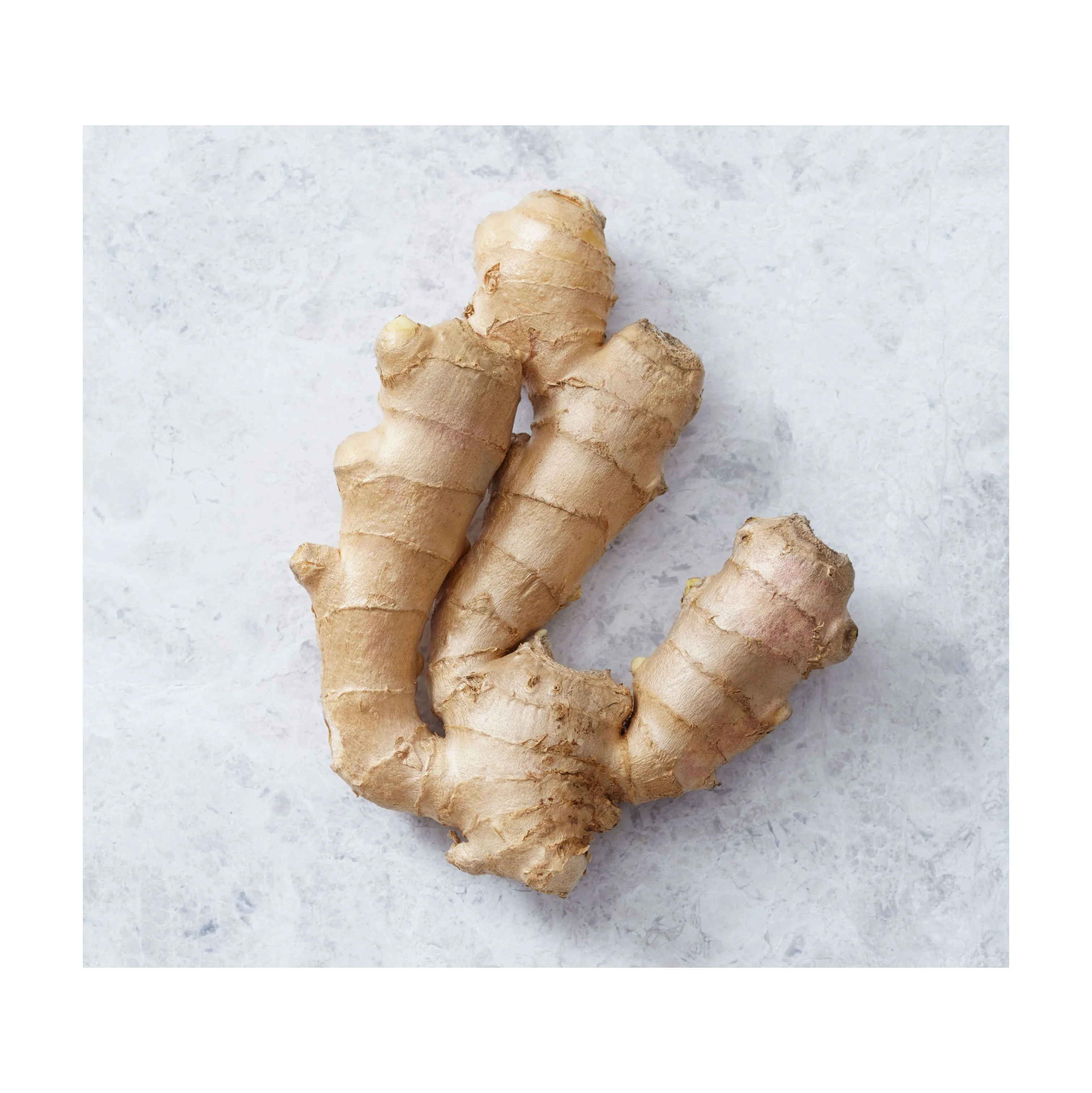 New Crop Fresh Ginger For Sale - Ginger Root Superior Quality from Brazil - Spicy and Fragrant Flavor - Ginger Exporters