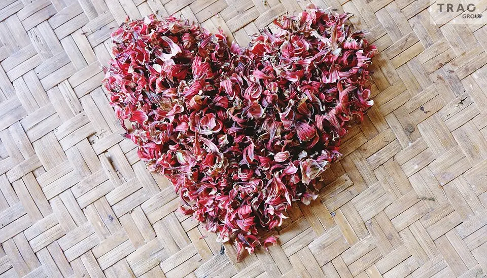 Wholesale Organic Hibiscus Fine Cut Hibiscus Tea Dried Hibiscus Flowers