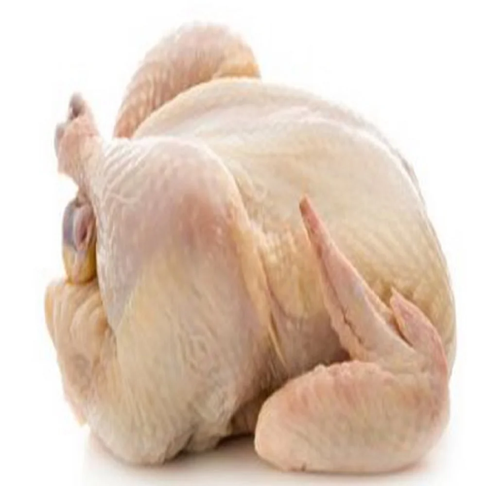 Best Quality Custom Made Wholesale Halal Frozen Whole Chicken Wholesale Frozen Chicken