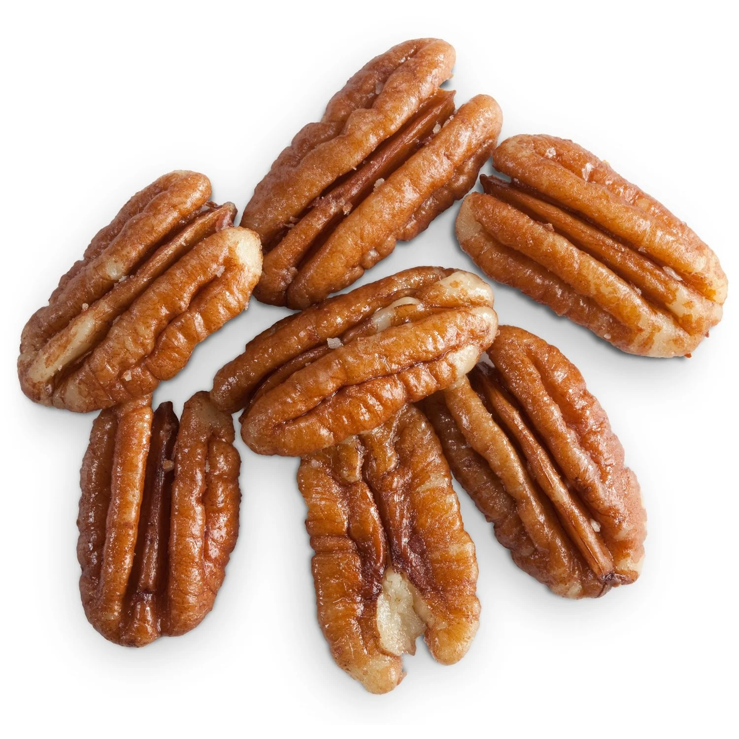 Hot Selling Roasted Pecan nuts kernels Wholesale High Quality Pecan nuts kernels