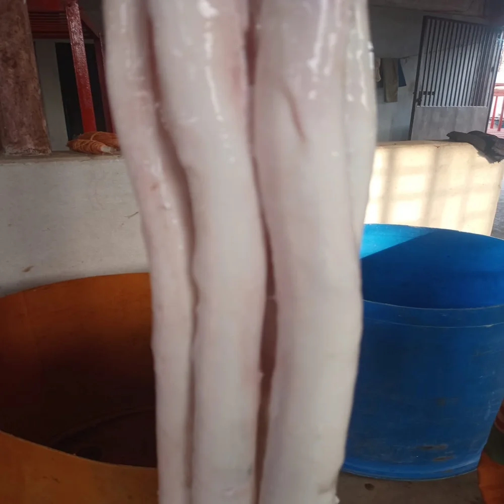 Beef Penis Best Quality Processing Super fresh Best quality Frozen Beef Pizzle  Bull Pizzle For Sale Cheap Price from Bangladesh