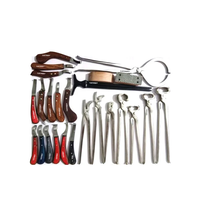 Veterinary 12 Pcs Horse Farrier Hoof Grooming Shoe Care Tools Kit  Hoof Clincher Nipper Cutter Rasp Hammer Hoof Knife