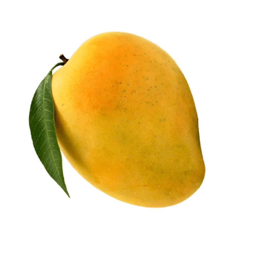 Top Quality Mango For Eating At Supplier From India