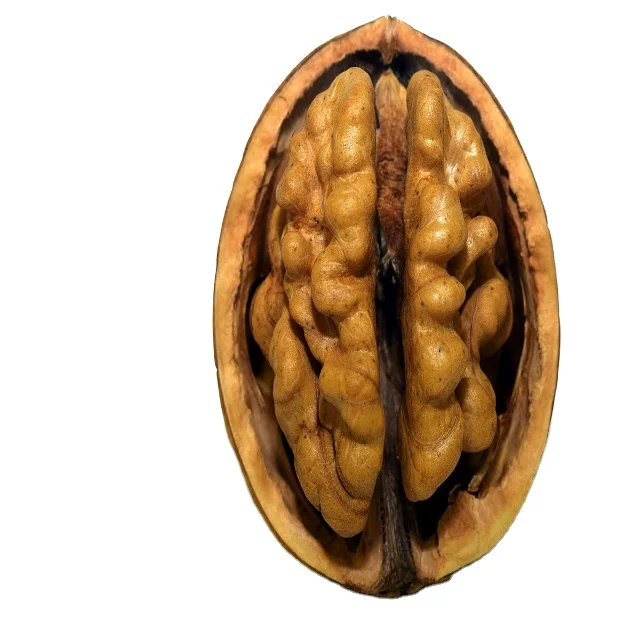 Wholesale Walnut without Shell Fresh Delicious Nutrition Walnut Kernel Max Bag Bulk Style Storage Cool Packing Packaging Food