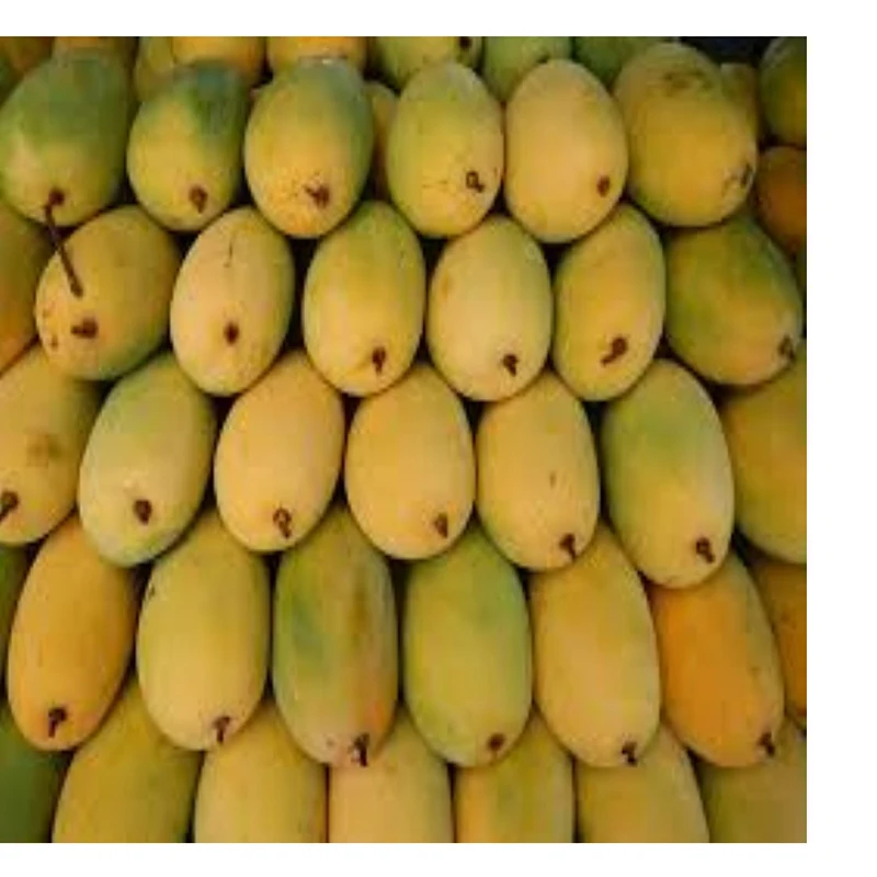 High Quality Fruit Chaunsa Mango Sweet Style Color Weight NATURAL Origin Type Variety Size Grade Pacific Product