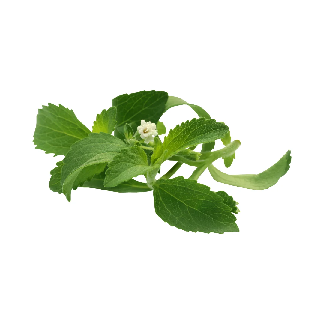 Premium Organic Stevia Leaves: Natural Sweetener for Health-Conscious Cooking and Baking