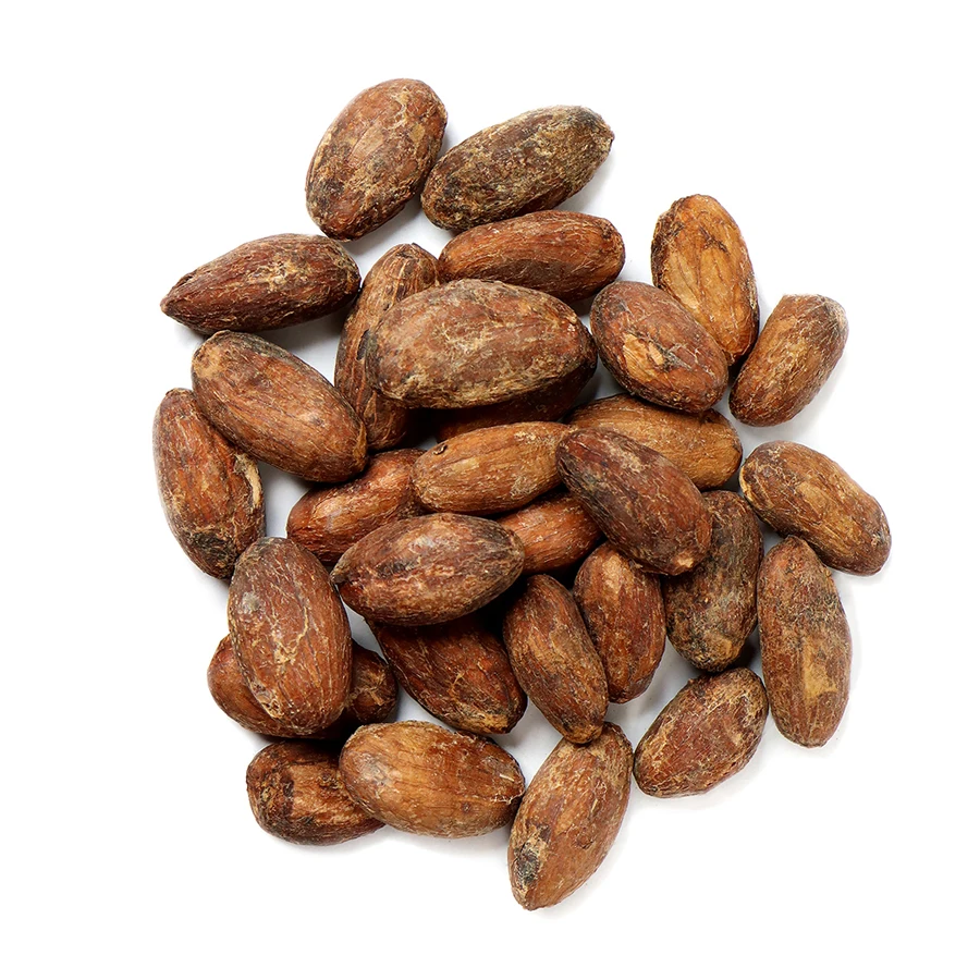 Bulk 100% Organic Cocoa Beans Online, Raw Sun Dried Criollo Green Cocao Beans Good for High Quality Chocolates Export