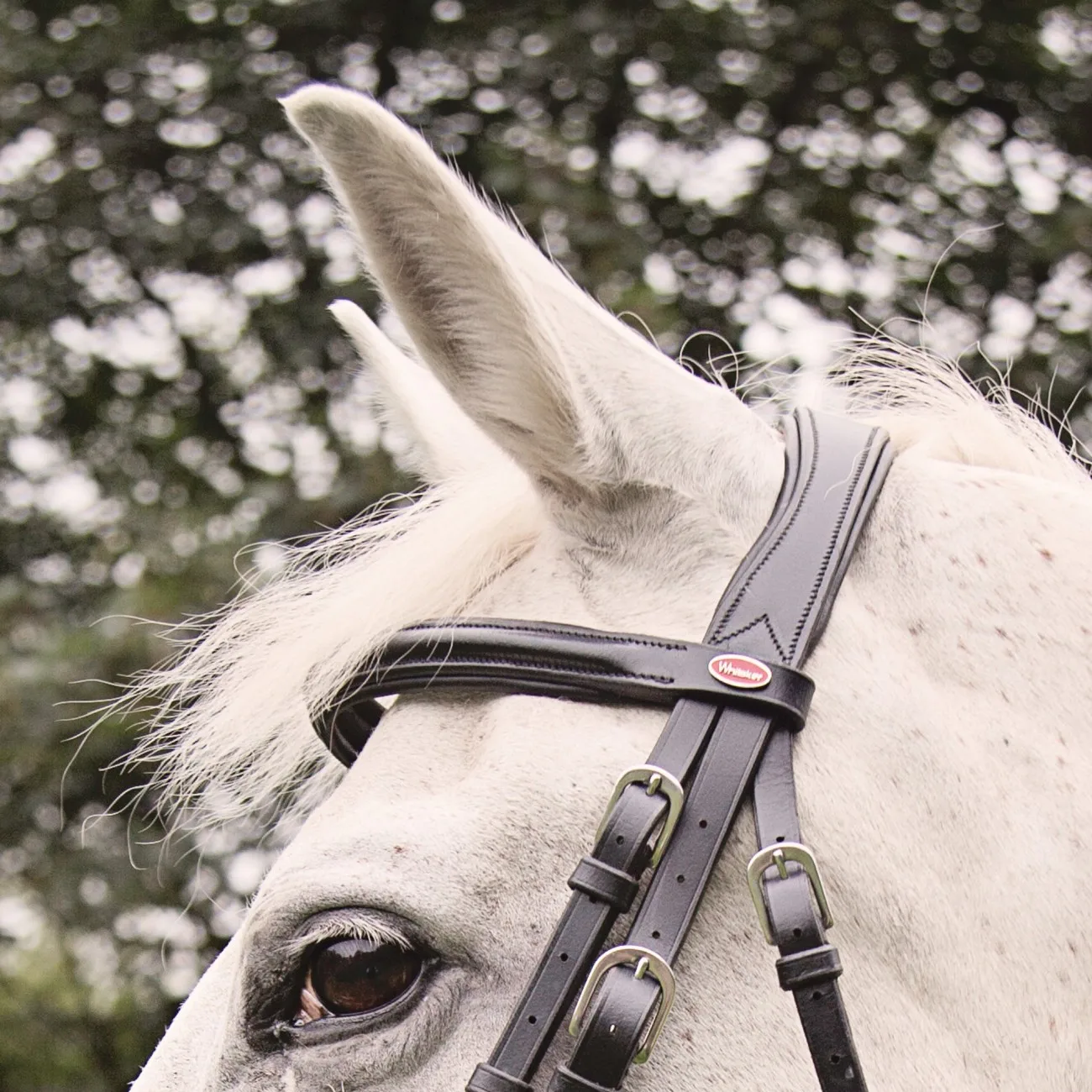 Mexican Bridle With Reins all Sizes with High Quality Tanned Leather Farm Race outdoor sports Stable Manufacturer Wholesale Bulk