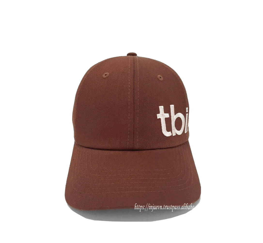 Baseball Cap Curved Brim 6 Panel 100% Cotton Fabric Embroidery 2D Custom Logo High  Quality Dad Cap Hiking Headwear Outdoor