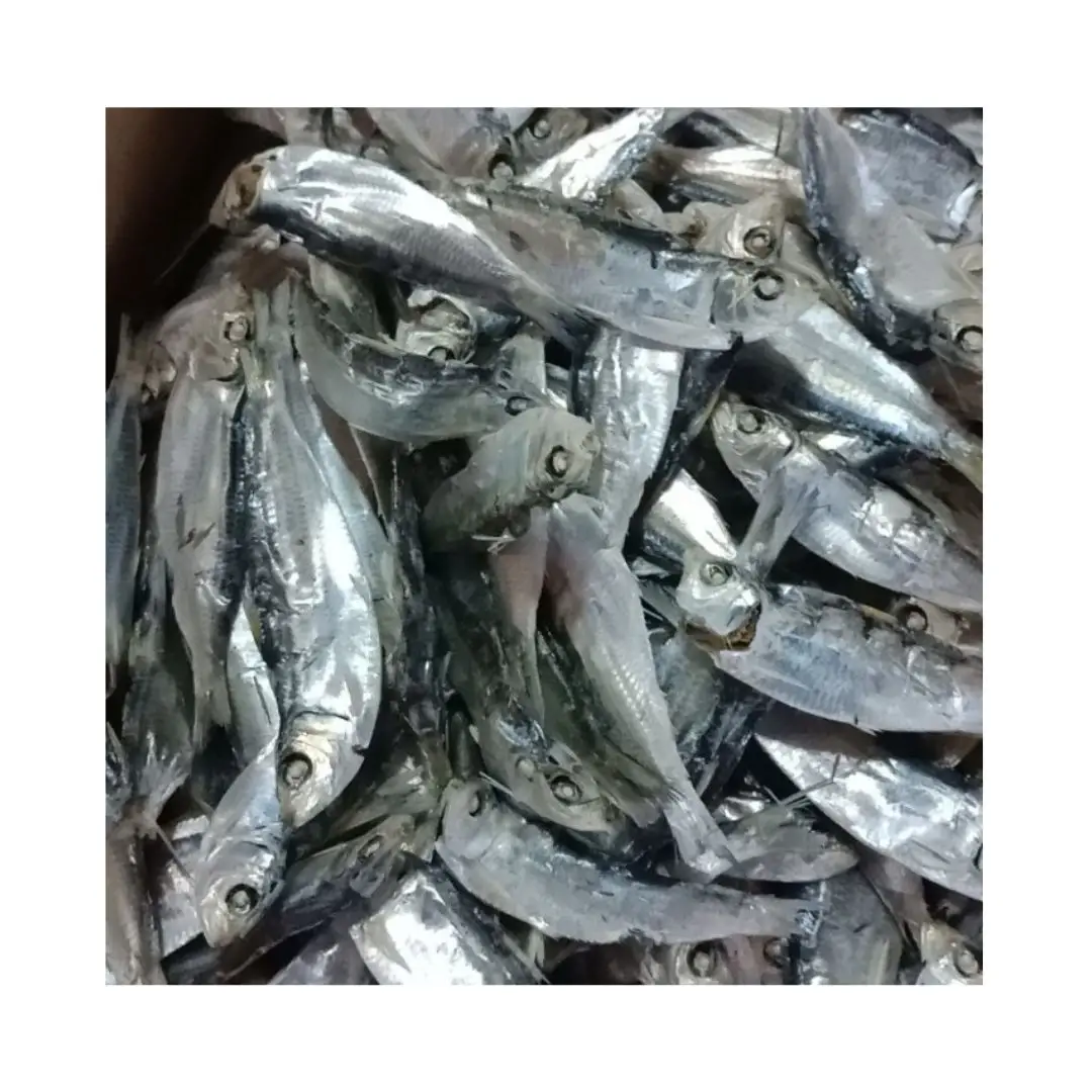 DRY FISH 100% NATURAL DRIED HERRING FISH FOR COOKING- WHOLESALE BEST PRICE DRIED HERRING FISH FROM VIETNAM