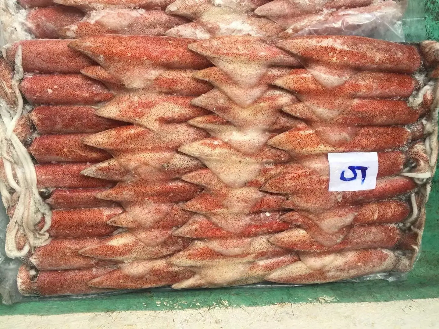 Свежий замороженный индонезийский кальмар самый популярный