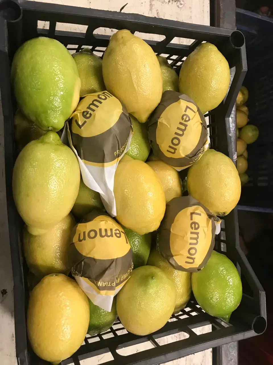 Fresh Lemon from Egypt