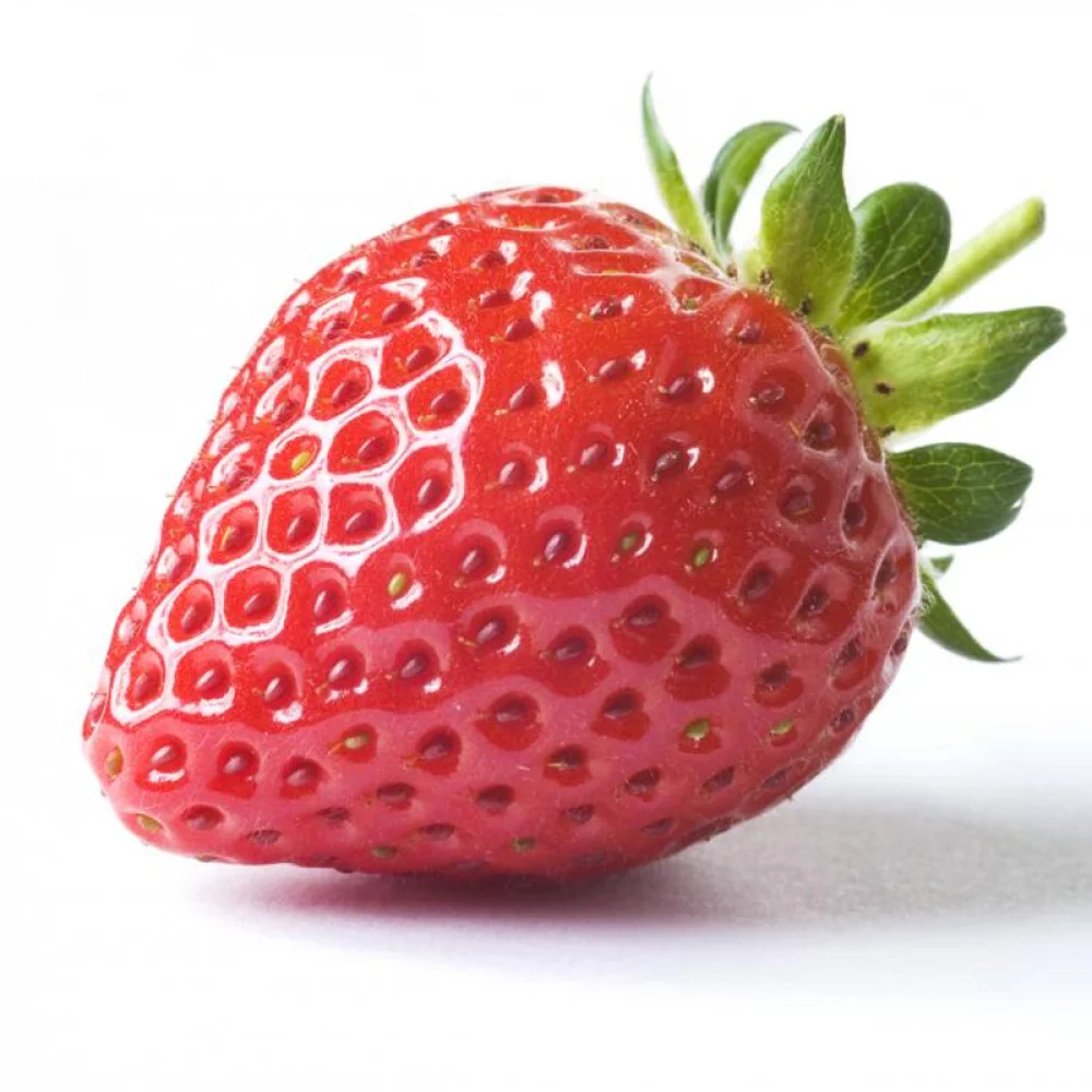 Fresh Strawberries Wholesale Cheap Price Premium Natural Sweet Flavor Buy Available In Stock