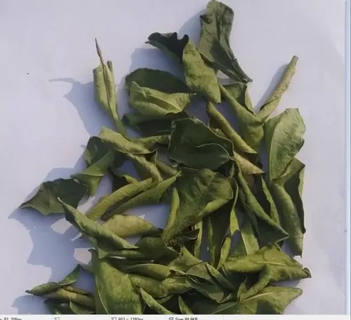 Поставщик дешевых сушеных листьев лимона/праздничный