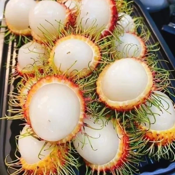 RAMBUTAN CANNED MADE IN VIETNAM/ NATURAL FRUIT MIXING WITH YOUR DRINKS/ BEST CHOICE!!