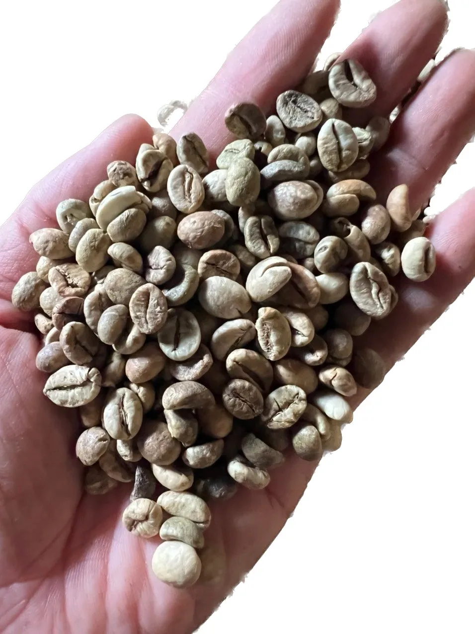 Вьетнамский КОФЕ ROBUSTA/WA 0084 848