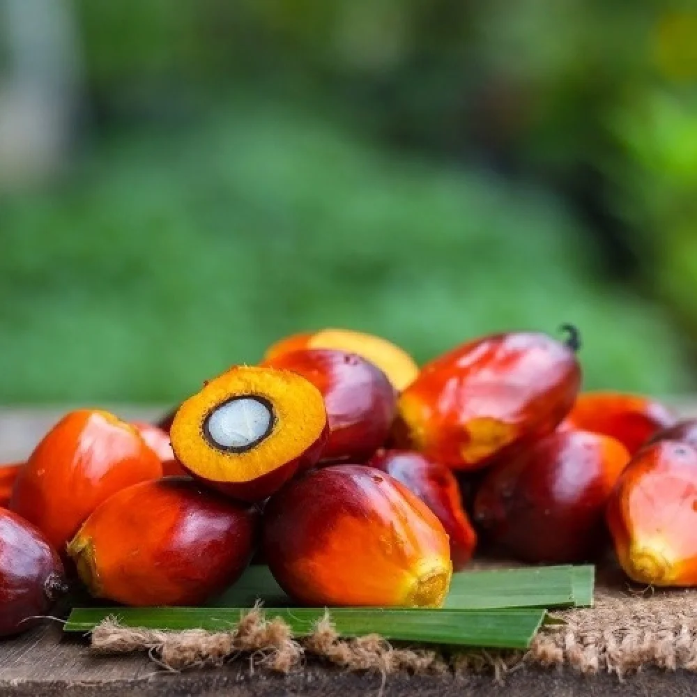 Looking for Companies Needing Palm Oil Refined Cooking Oil Machine Top Wood Motor Packaging Automatic Frying Natural Healthy