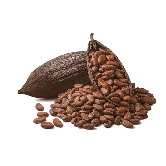 Hot selling Dried Raw Cacao Fermented Cocoa Beans Cocoa Beans Ariba Cacao beans for sale